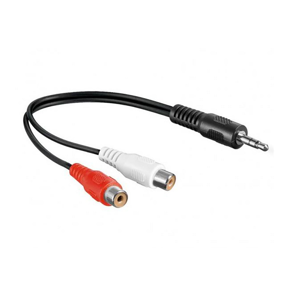 Dtech 3.5 ST/M To 2RCA F 0.2m DT-6209 (4719951151204) Dtech 3.5 ST/M To 2RCA F 0.2m DT-6209 (4719951151204)